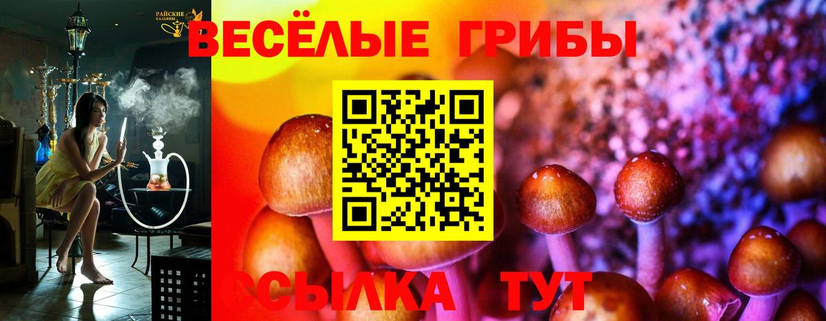 Галлюциногенные грибы Psilocybe  Галлюциногенные грибы GOLDEN TEACHER  Гурьевск  Вход с VPN 